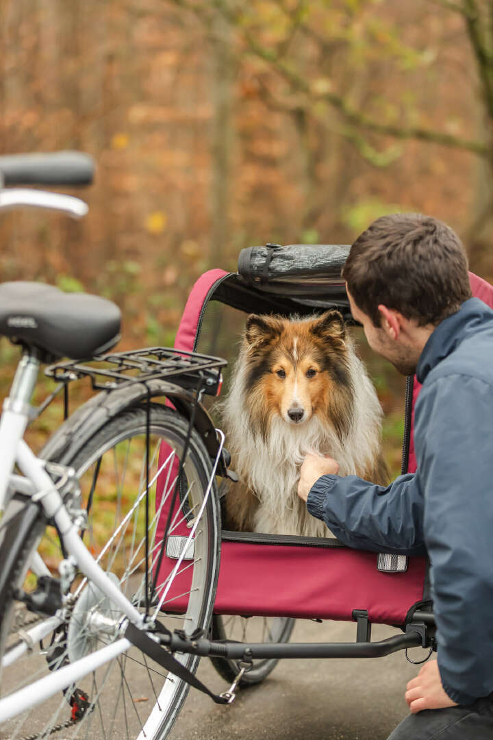 TRIXIE Fahrrad-Anhänger für Hunde